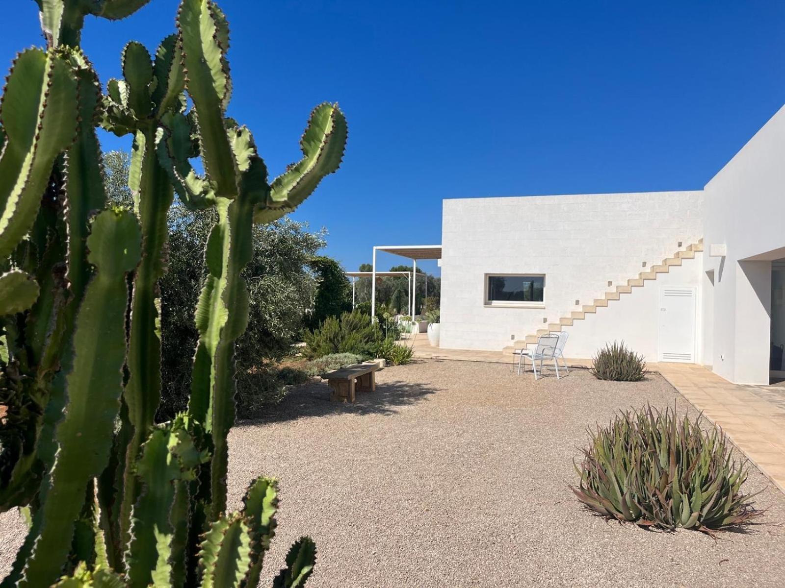 Villa Casa Bianca Di Porto Selvaggio Santa Caterina  Екстер'єр фото