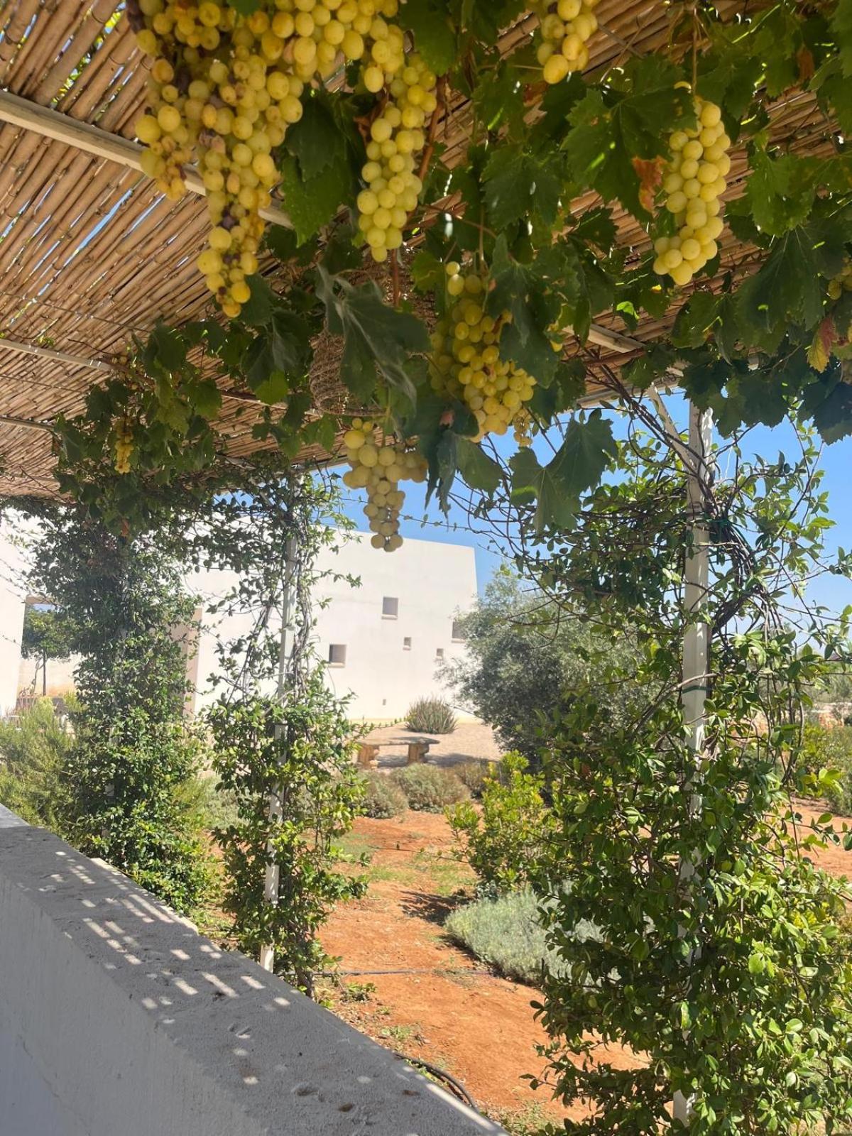 Villa Casa Bianca Di Porto Selvaggio Santa Caterina  Екстер'єр фото